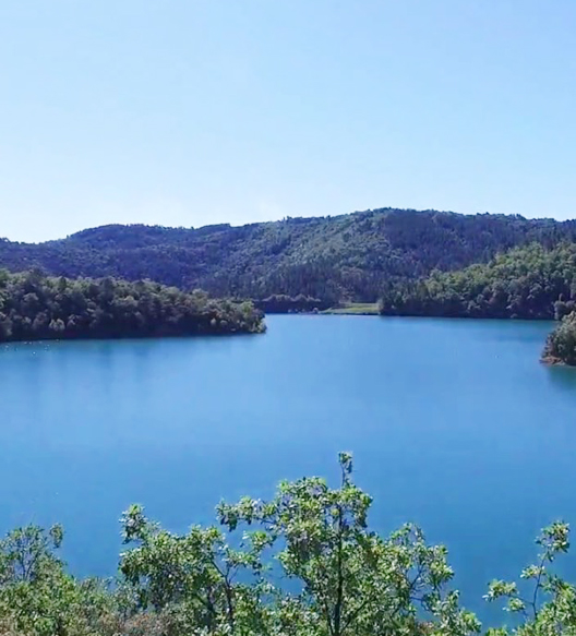 Le lac de Saint Cassien